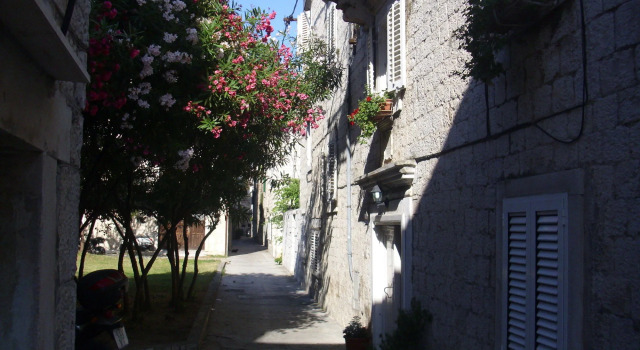 Carol Rooms