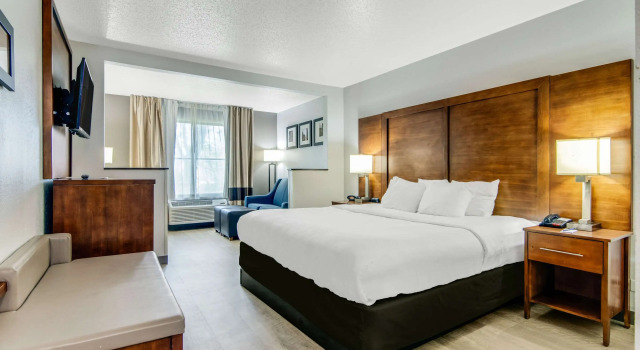 Двухместный люкс Comfort Suites near I-80 and I-94