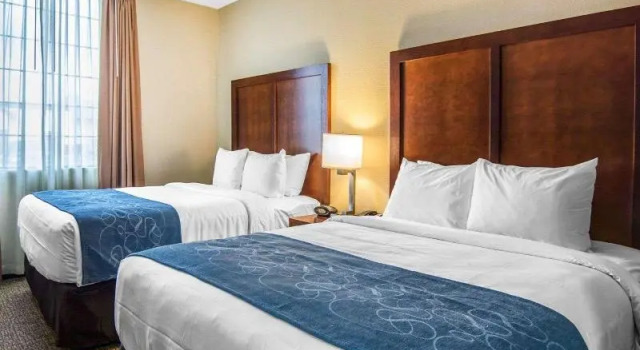 Номер Standard Comfort Suites Fredericksburg South
