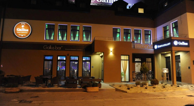 Hotel Gallus