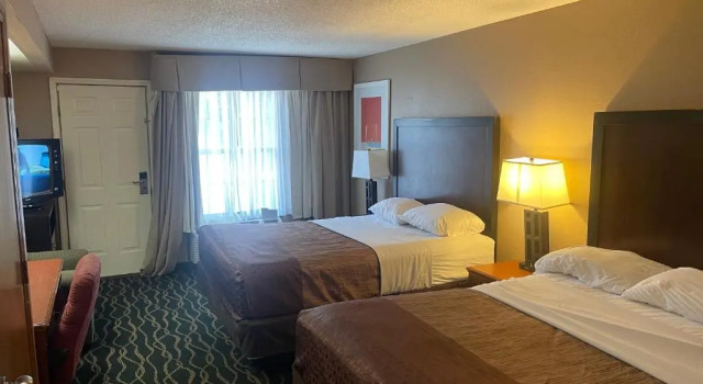 Четырёхместный номер Standard HOTEL DEL SOL - Pensacola