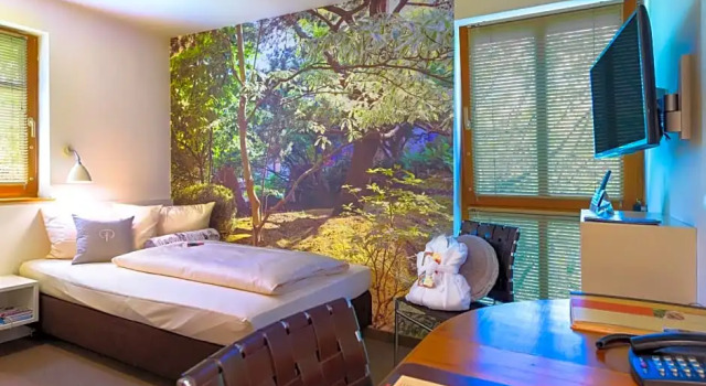 Одноместный номер Standard Hotel Schindlerhof