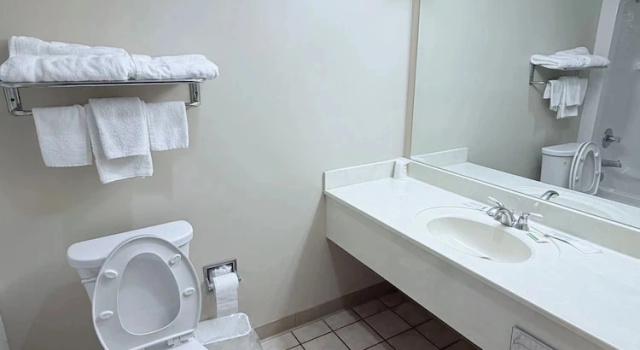Двухместный люкс COLLINS INN & SUITES