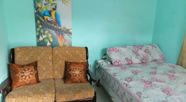 Студия Paul Apartments