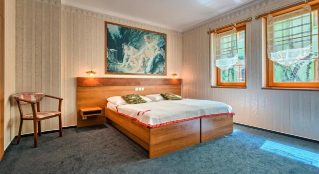 Двухместный номер Standard Wellness Hotel Babylon