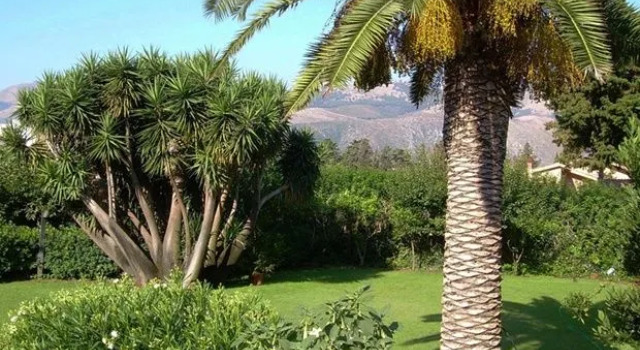 Villa Lucia, Book Villa Hotels in Sicily with a Pool, Swimming Pool