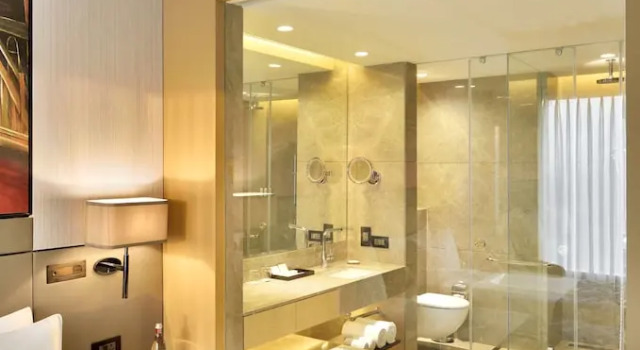 Клубный номер Business Radisson Blu Faridabad