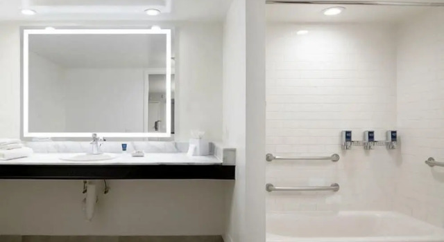Двухместный номер Standard Four Points By Sheraton Mount Prospect O’Hare
