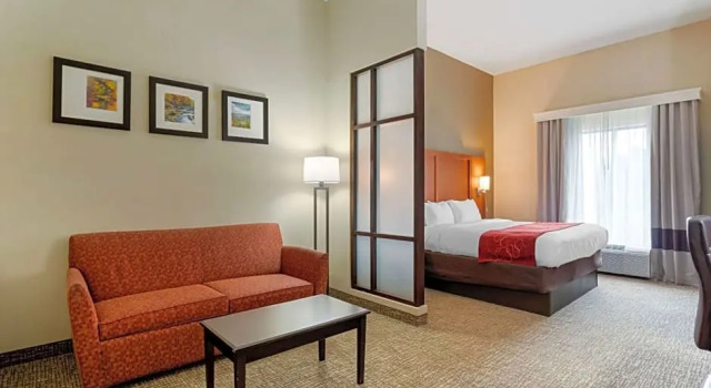 Двухместный номер Standard Comfort Suites Kingsport South