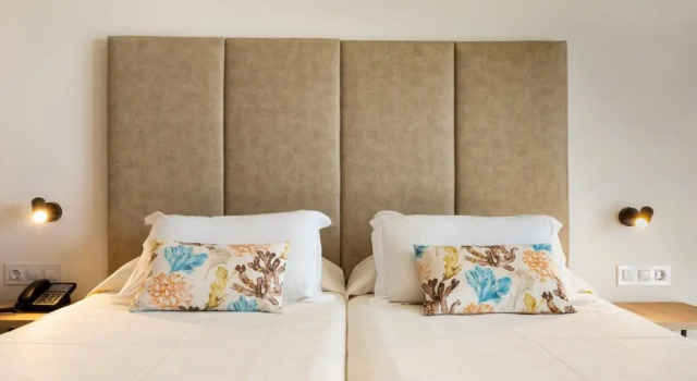 Двухместный номер Standard Hotel Las Arenas