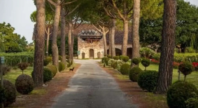 Chateau Saint Louis, Buchen Sie Hotel Labastide-Saint-Pierre Languedoc-Roussillon