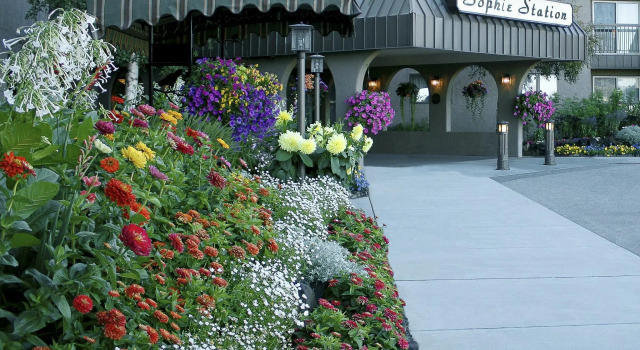 Sophie Station Suites, Rezerwuj Hotel Fairbanks Alaska