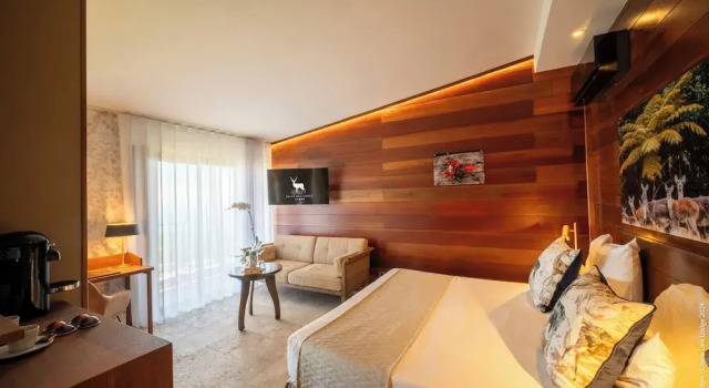 Номер Standard Hôtel Diana Dea Lodge & SPA