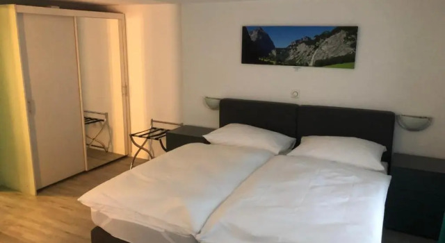 Номер Deluxe Hotel Freihof