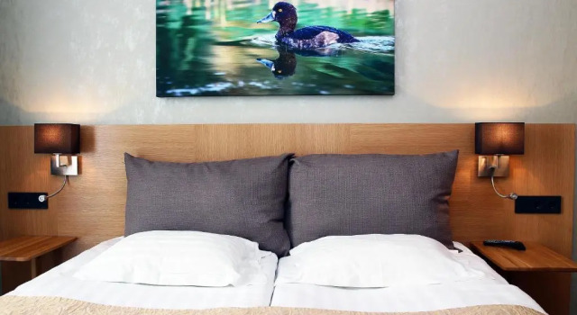 Двухместный номер Standard Hestia Hotel Haapsalu Spa