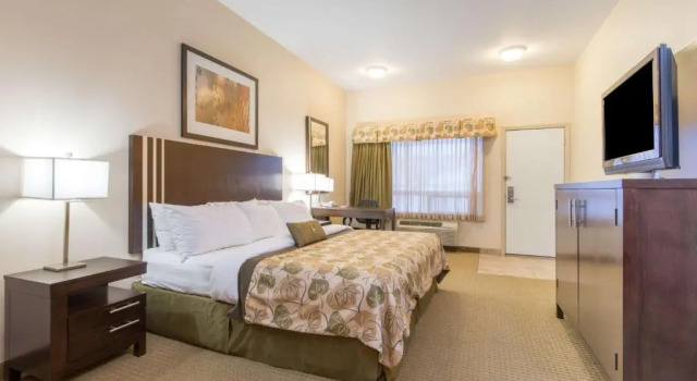 Camera Standard Ramada by Wyndham Wainwright