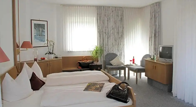 Номер Standard Hotel- Restaurant Zum Schwan