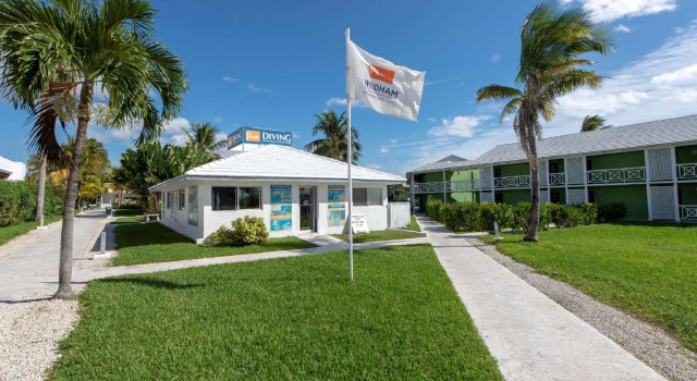 Viva Fortuna Beach by Wyndham, A Trademark All Inclusive, Book Resort Hotels in Grand Bahama with a Pool, Swimming Pool