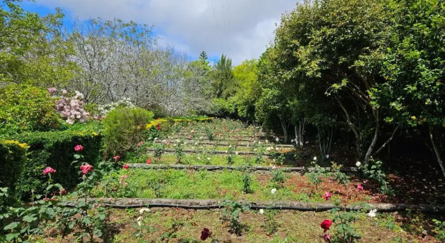 Вилла Quinta Do Bento Novo - Casa de Campo - Turismo Rural