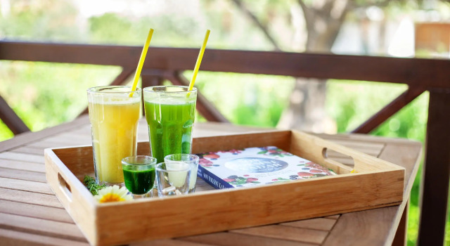 Номер Standard The LifeCo Bodrum Well - Being Center - Adults Only