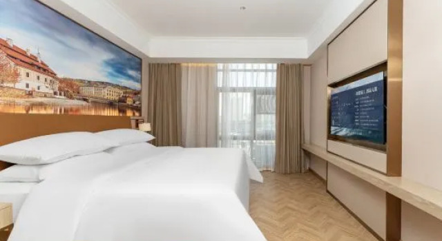 Люкс Vienna Hotel (Zhengzhou University First Affiliated Hospital Medical College Metro Station Branch)