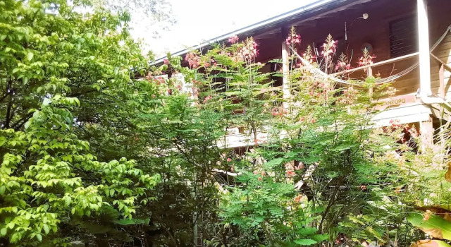 Treetop Cottage Escape in Tropical Garden Near San Ignacio