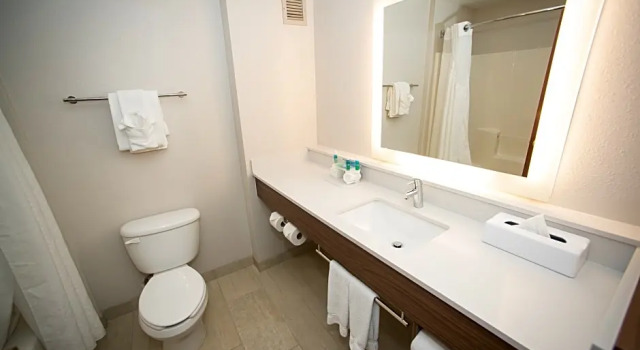 Двухместный люкс Deluxe Holiday Inn Express Hotel & Suites Lexington-Downtown University by IHG
