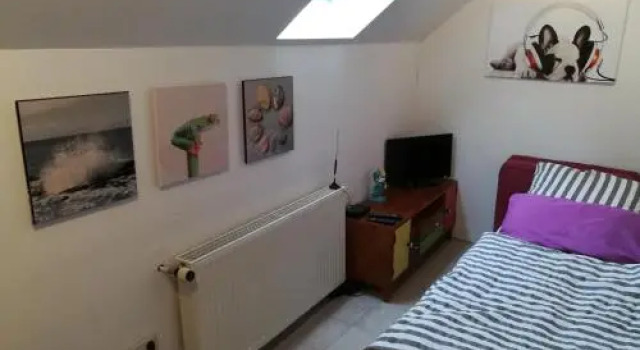 Haus am Rhein Köln, 预订 酒店 埃尔 科隆