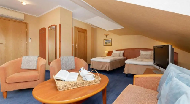 Номер Economy Villa Hoff Wellness & Spa