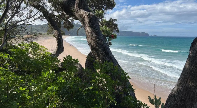 Oceana Heights Paradise - Beautiful 2 bdrm self contained apartment
