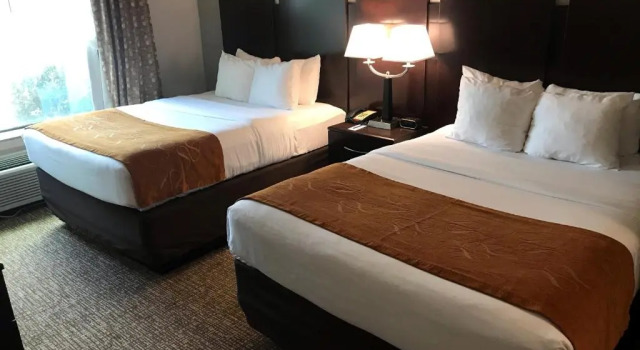 Четырёхместный номер Standard Comfort Suites Bay City East