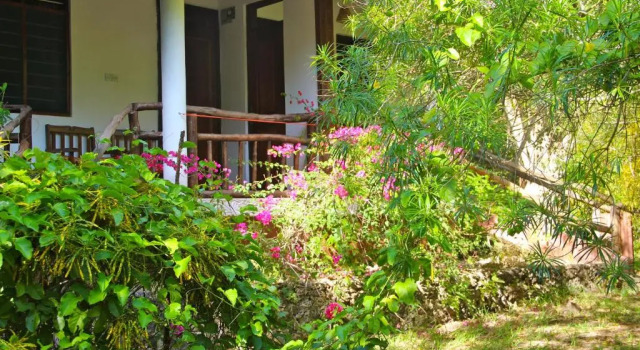 Двухместный номер Standard с балконом и с красивым видом из окна Mangrove Lodge