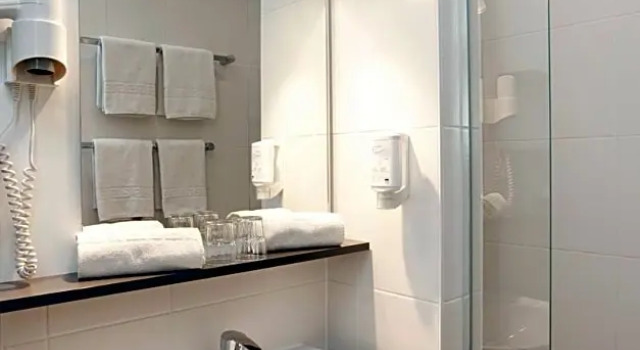 Трёхместный номер Standard Euro Park Hotel International