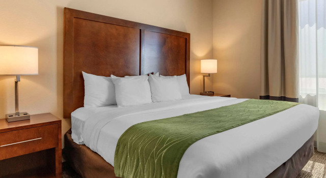 Двухместный номер Standard Comfort Inn & Suites Edgewood