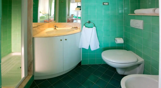 Двухместный номер Classic с балконом LH Mion Hotel