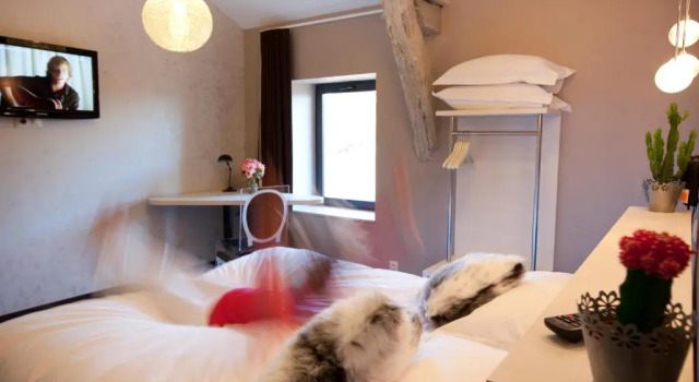 Etuoikeus huone Fleurines Hôtel