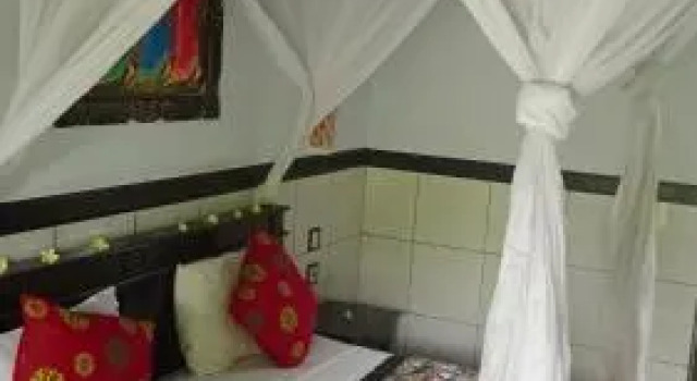 Putu Guest House, Book Guesthouse Hotels in Buleleng with a Pool, Swimming Pool