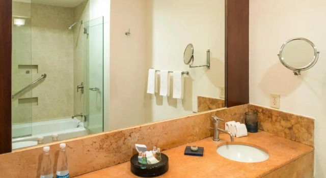 Двухместный номер Deluxe Camino Real Pachuca