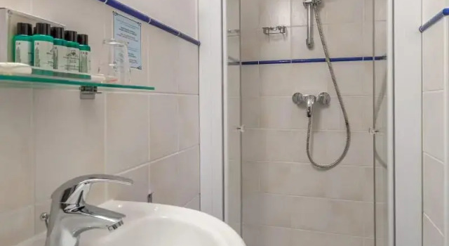 Одноместный номер Standard Hotel Triglav