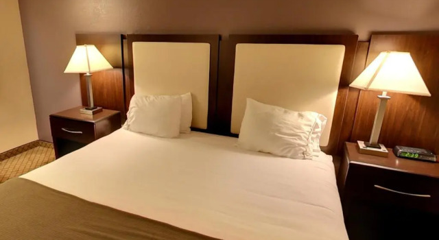 Номер Standard Holiday Inn Express Hotel & Suites Blythewood by IHG