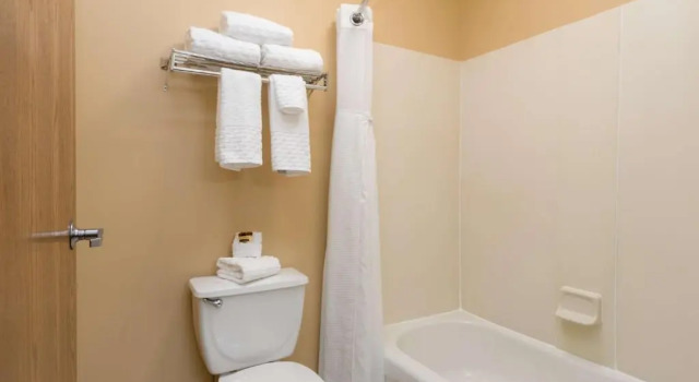 Двухместный люкс c 1 комнатой White Pine Inn & Suites