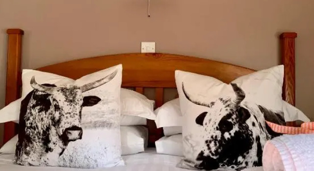 Standard- værelse Ellen House Bed and Breakfast