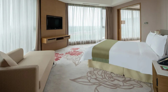 Люкс c 1 комнатой с видом на сад Holiday Inn Nanyang by IHG