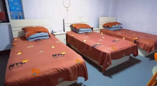 Номер Standard Tianjin Common People Daily Rent