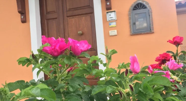 Il Nido delle rose