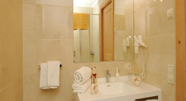 Двухместный номер Comfort Hotel Rosslaufhof