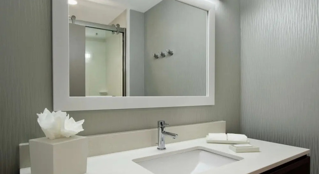 Люкс c 1 комнатой Home2 Suites by Hilton Mobile International Airport