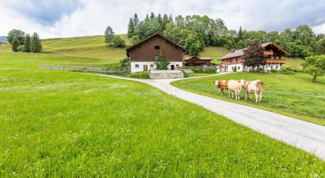 Ferienhaus Widholzhof