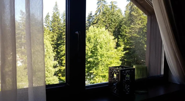 Апартаменты PinePino Borovets, aparthotel Borovets Gardens A60