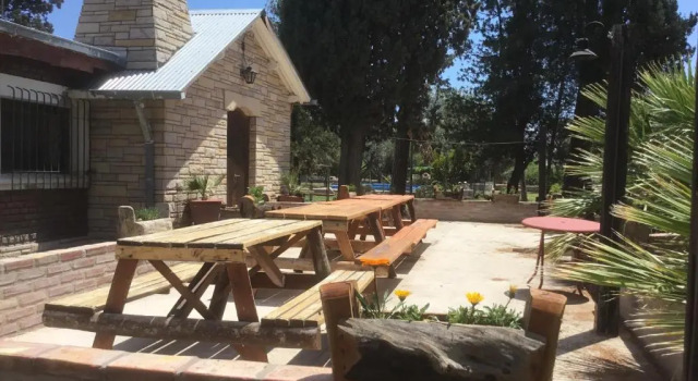 Tree House Hostel
